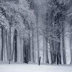 black-and-white-cold-fog-235621