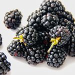 berries-blackberries-bramble-892808