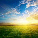 obit_share_08-4