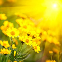 obit_share_07-4