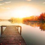 obit_share_19-5