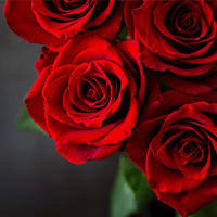obit_share_16-11