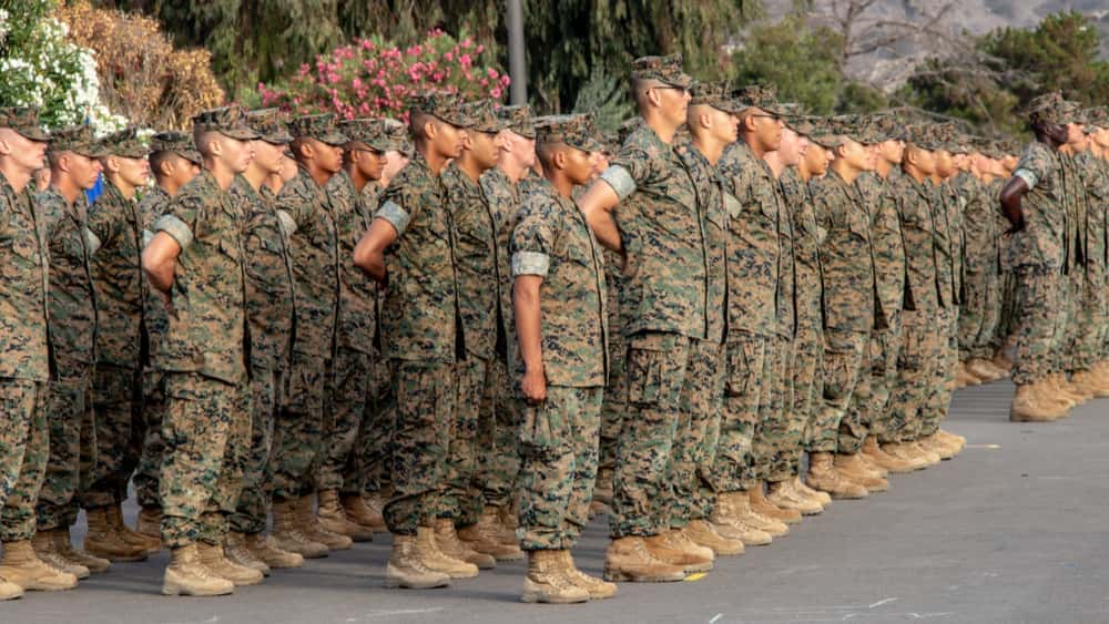 tmpfe5b15ae-5d1d-45b0-9db6-3130a8ca0ce1-jpg