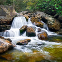 obit_share_10-6