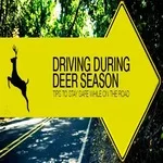 driving-tips-deer-season-2