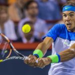 shutterstock_311827862