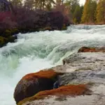 Daring Dillon - View of Dillon Falls - Deschutes River - near Bend^ OR