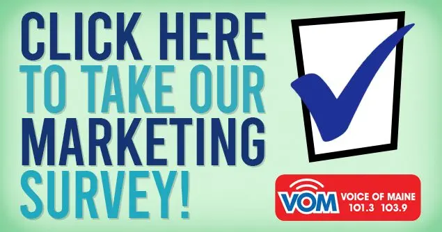 marketingsurvey-2026-vom