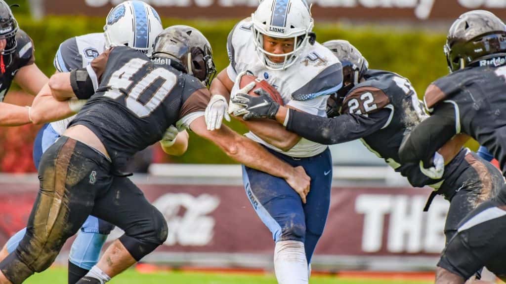 Local College Football: Wins For Columbia, Army, Stony Brook; Loses For
