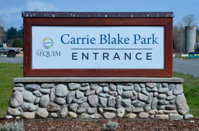 carrie-blake-sign