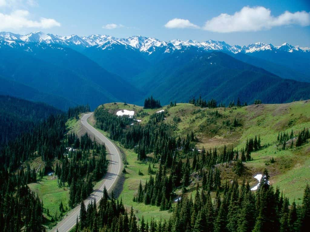 hurricane-ridge