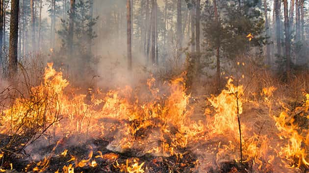 062518_thinkstock_wildfire