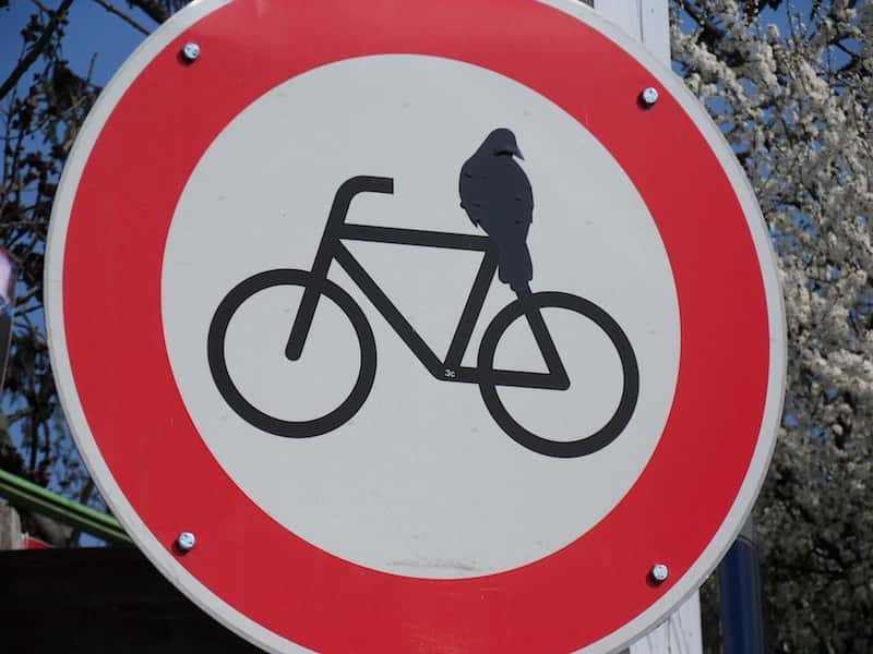 Bike Wednesday “Put a Bird on It” Ride