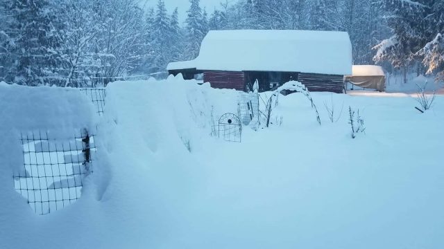 snow-shed