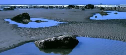 tidepool3