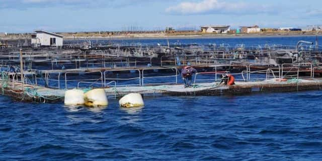 net-pens-port-angeles