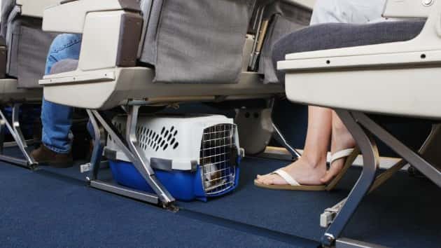 istock_81519_petplane