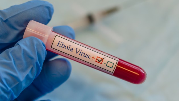 istock_81919_ebolavirus