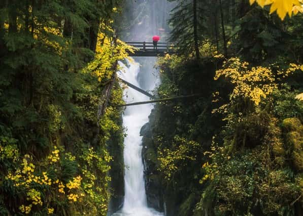 sol-duc-falls