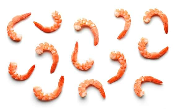 istock_090519_shrimp