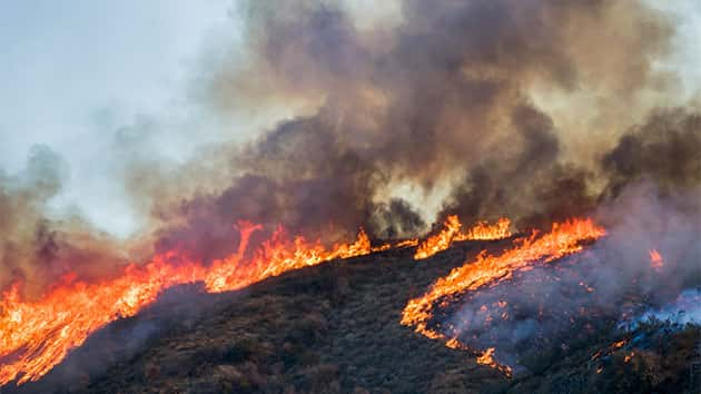 istock_102719_wildfire