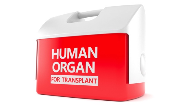istock_112919_humanorgantransplant