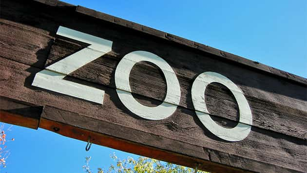 istock_112919_zoo