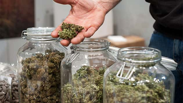 istock_120119_weed