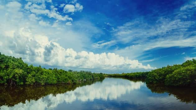 istock_020420_evergladespark