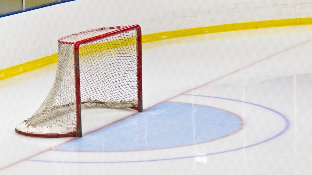 istock_22420_hockeygoal