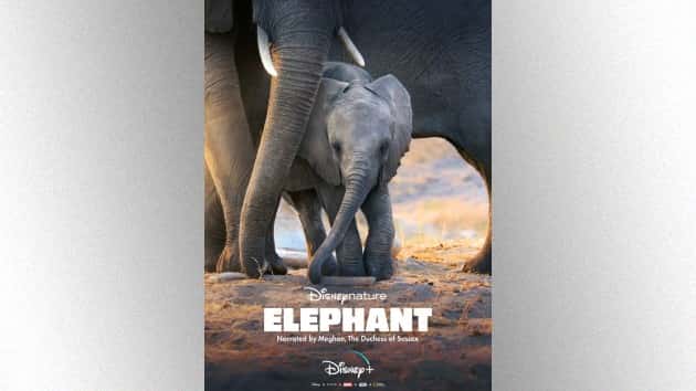 e_elephant_poster_03262020