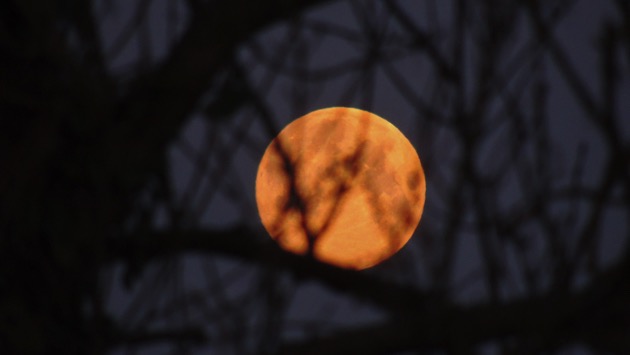 istock_040720_supermoon4720