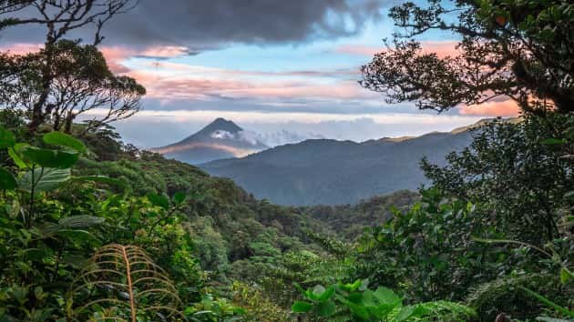 istock_4920_rainforest