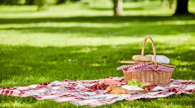 delicious-picnic-spread-with-fresh-food