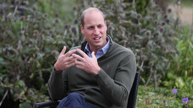 getty_10820_princewilliam201