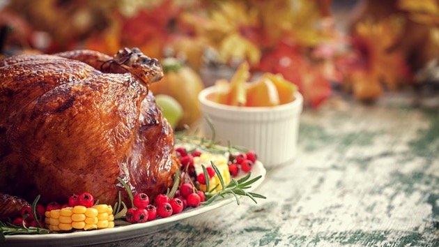 istock_102720_thanksgivingturkey