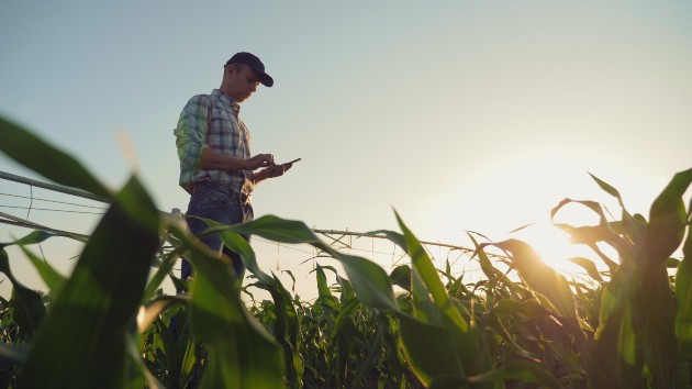 istock_102920_farmerland