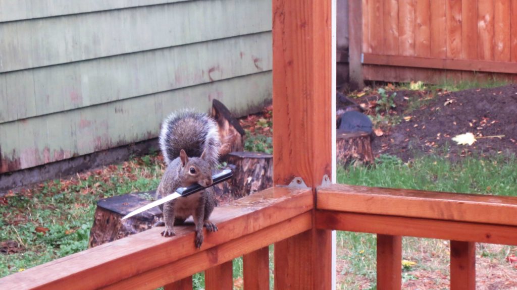 squirrel-knife