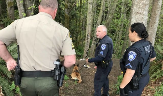 Assault, arson suspect arrested after brief K9 search in woody ...