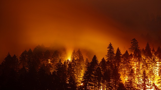 istock_072521_wildfire