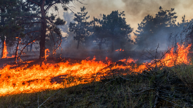 istock_081221_wildfire