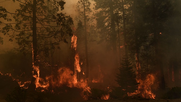 Caldor Fire moves closer to Lake Tahoe resort town ...