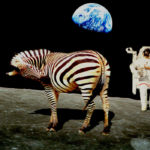 space-zebra