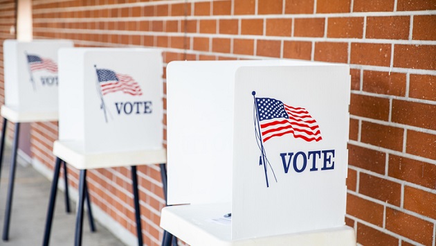 gettyimages_votingbooth_033022