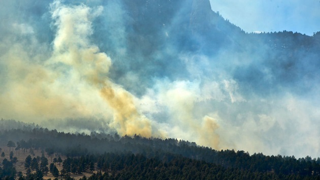 gettyimages_wildfire_050222