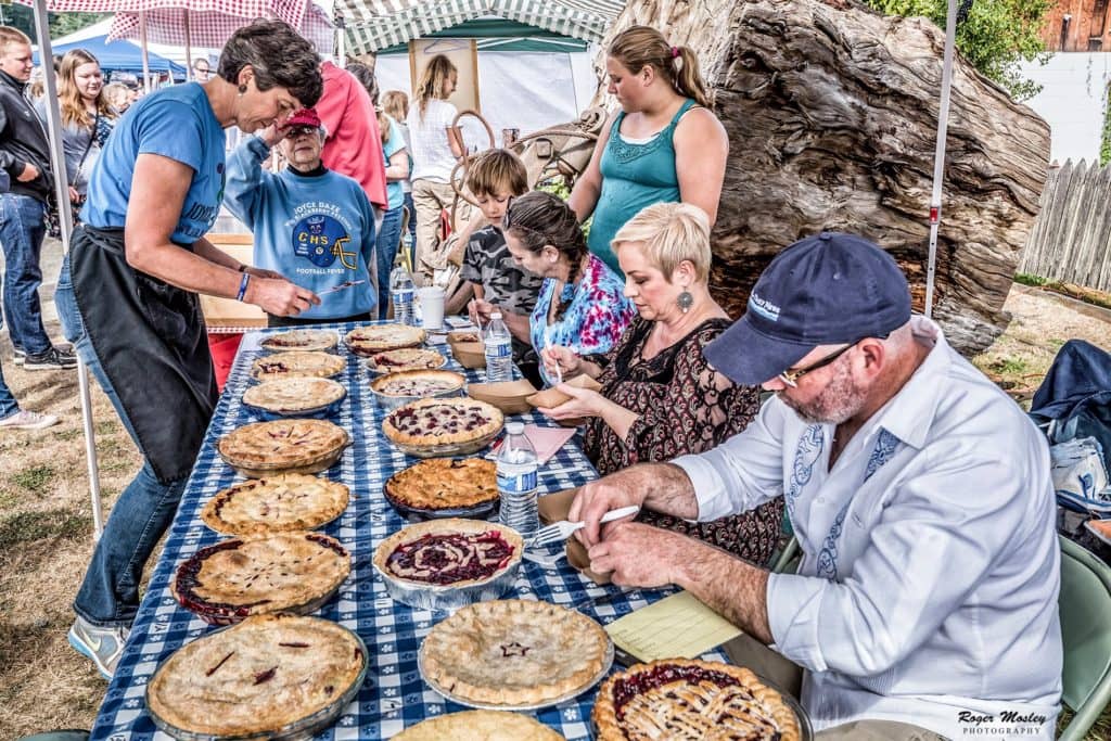joyce-daze-pies