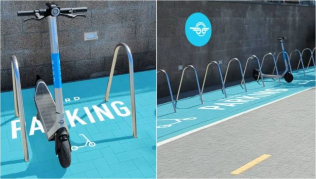 bird-scooters