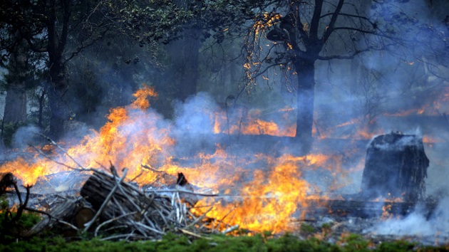 gettyimages_washburnfire_071522