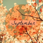 september