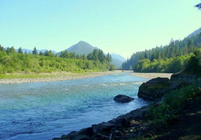 quinault_river_olympic_national_park
